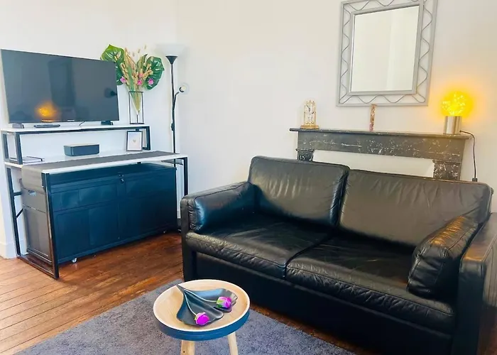 T1 Cosy Bien Equipe, Wifi, Centre D'angers Avec Vayny *